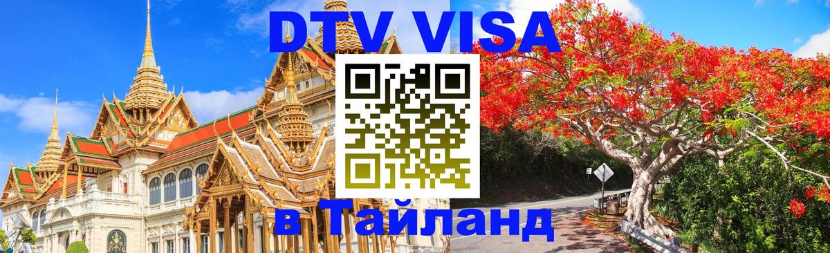 Оформление DTV визы под ключ: стоимость и тарифы, только загранпаспорт - 19.11.2025 